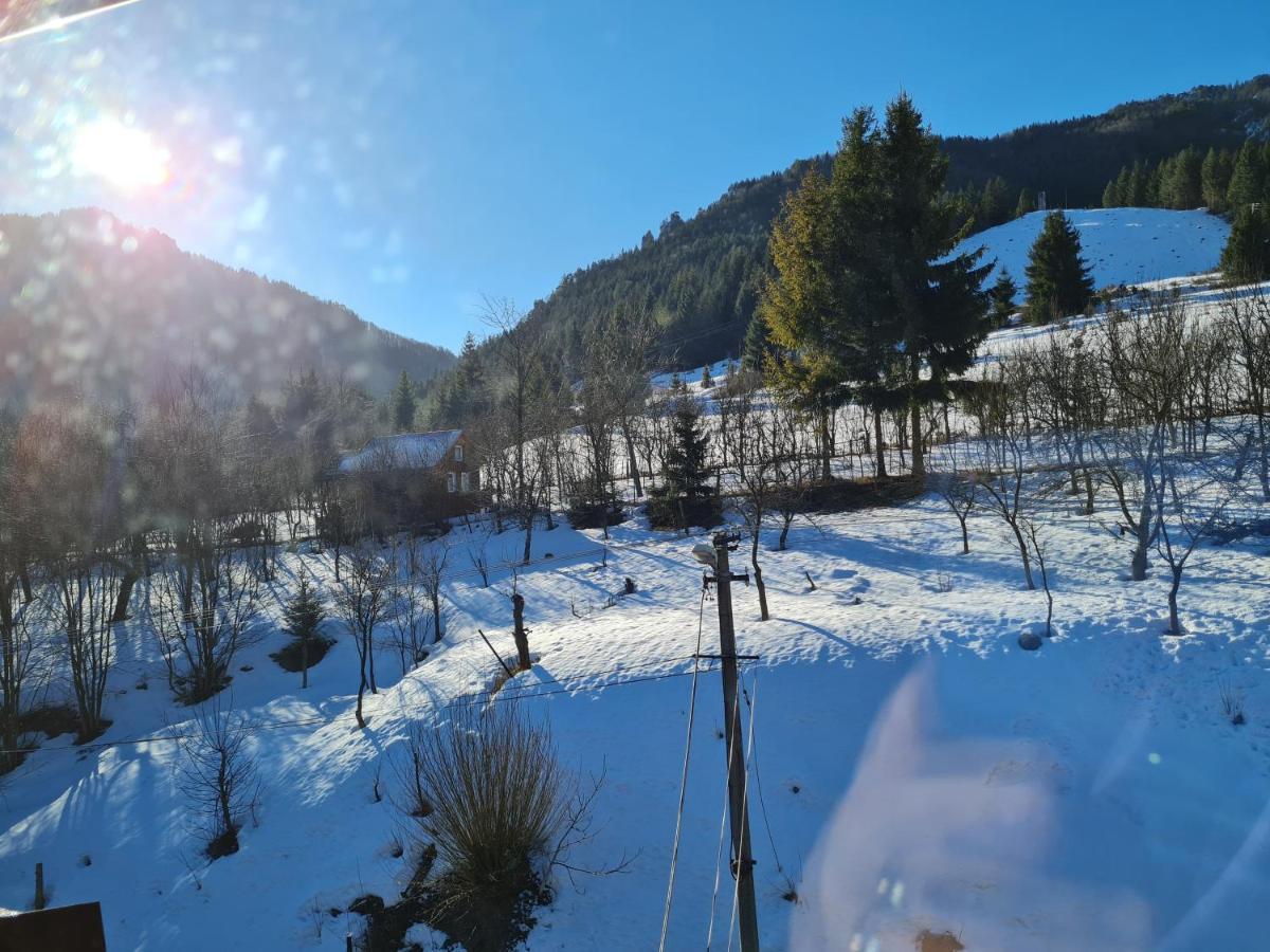 Penzion Mala Fatra U Durka Жилина Экстерьер фото